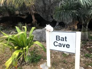 Cat Island Bat Cave